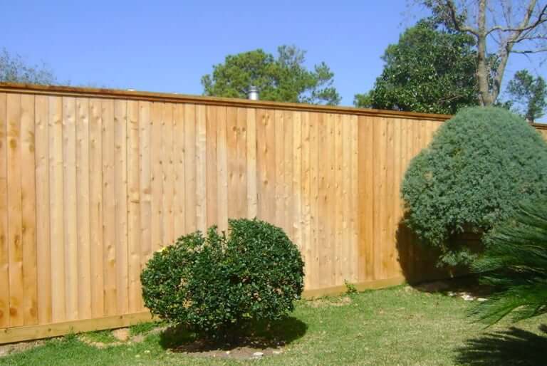 Texas Fence