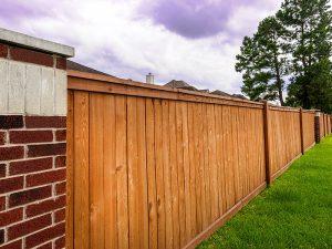 Western Red Cedar Fence