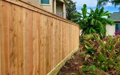 Fence Installation